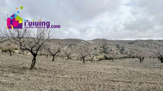 Casa de campo en Vélez Rubio, venta