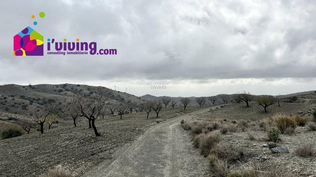 Casa de campo en Vélez Rubio, venta