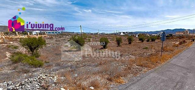 Finca rústica en Albox, Venta el Cholas, venta