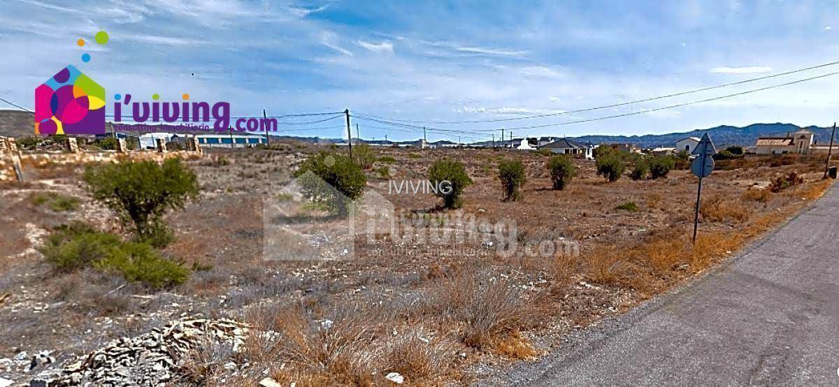 Finca rústica en Albox, Venta el Cholas, venta