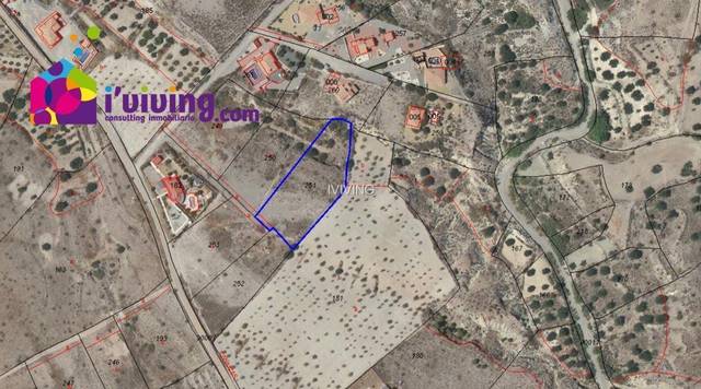 Finca rústica en Albox, Las Labores, venta