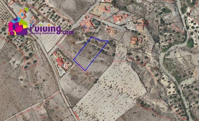 Finca rústica en Albox, Las Labores, venta