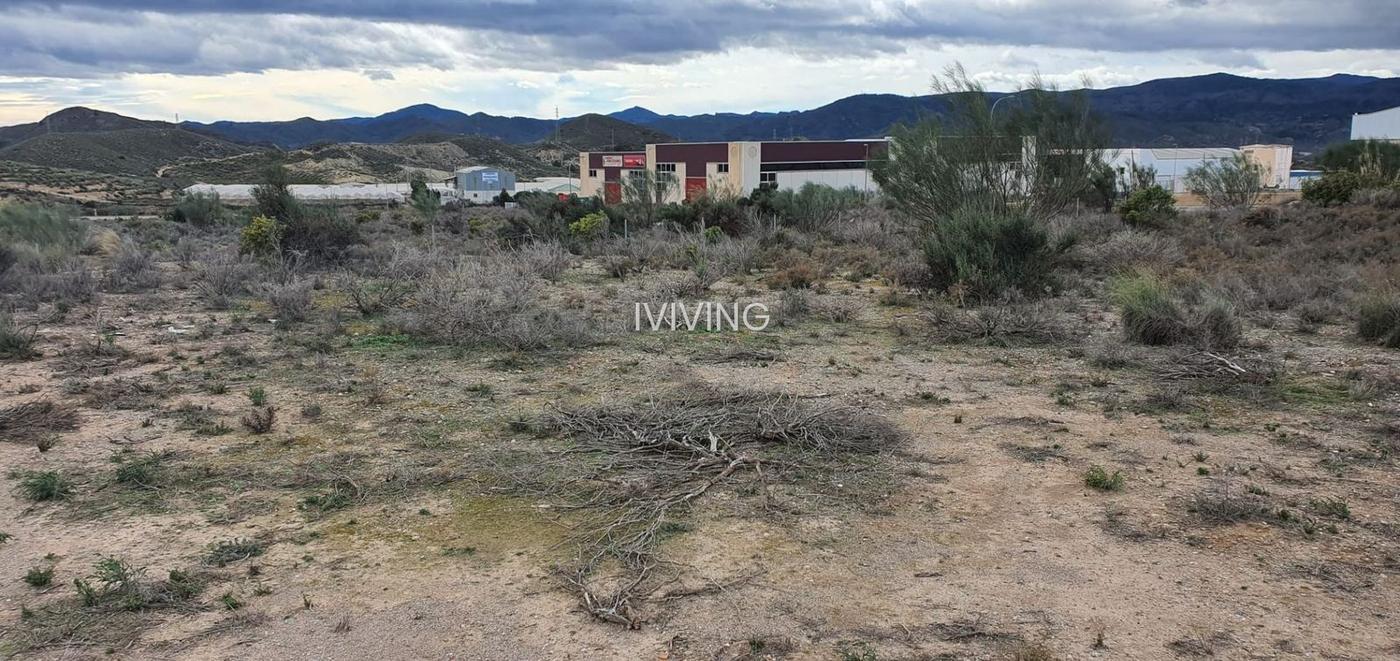 Finca rústica en Cantoria, Poligono El Palmeral, alquiler