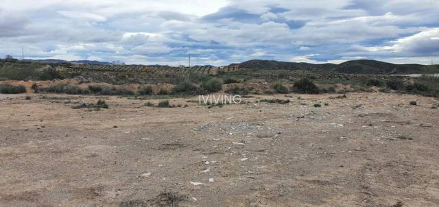 Finca rústica en Cantoria, Poligono El Palmeral, alquiler