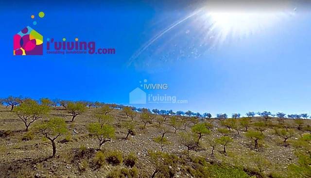 Finca rústica en Huércal-Overa, venta