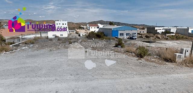 Parcela en Albox, Venta el Cholas, alquiler