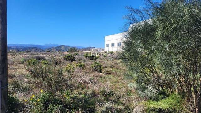 Parcela en Albox, Poligono Industrial Los Chorlitos, venta