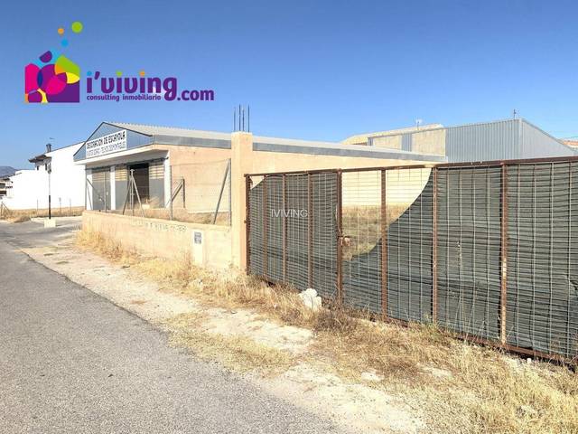 Parcela en Albox, Venta el Cholas, alquiler
