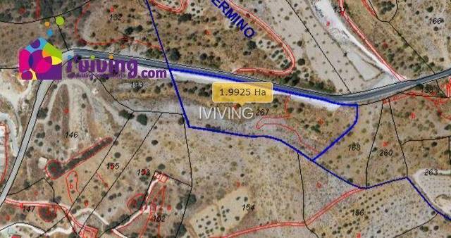 Parcela en Alcudia de Monteagud, venta