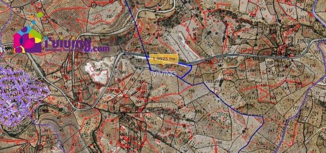 Parcela en Alcudia de Monteagud, venta