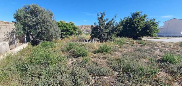 Solar Urbano en Cantoria, Almanzora, venta